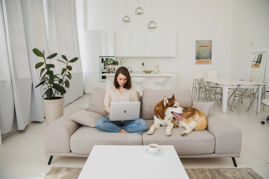 How to Choose a Pet-friendly Furniture For Your Home