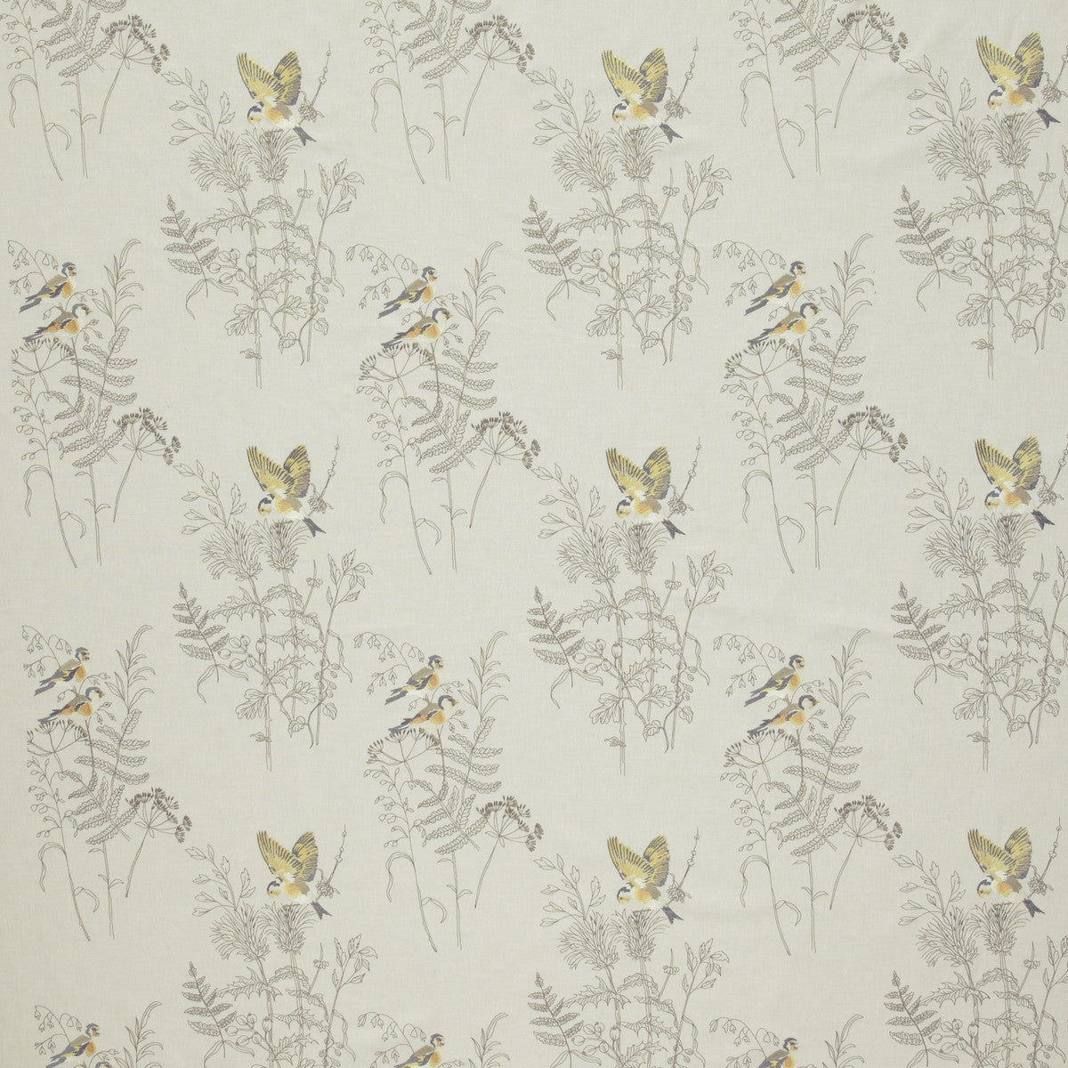 Gold Finch Buttercup Fabric