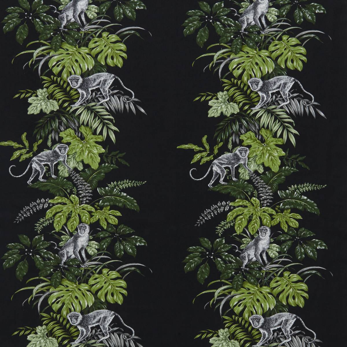 Monkeying Around Zinc Curtain