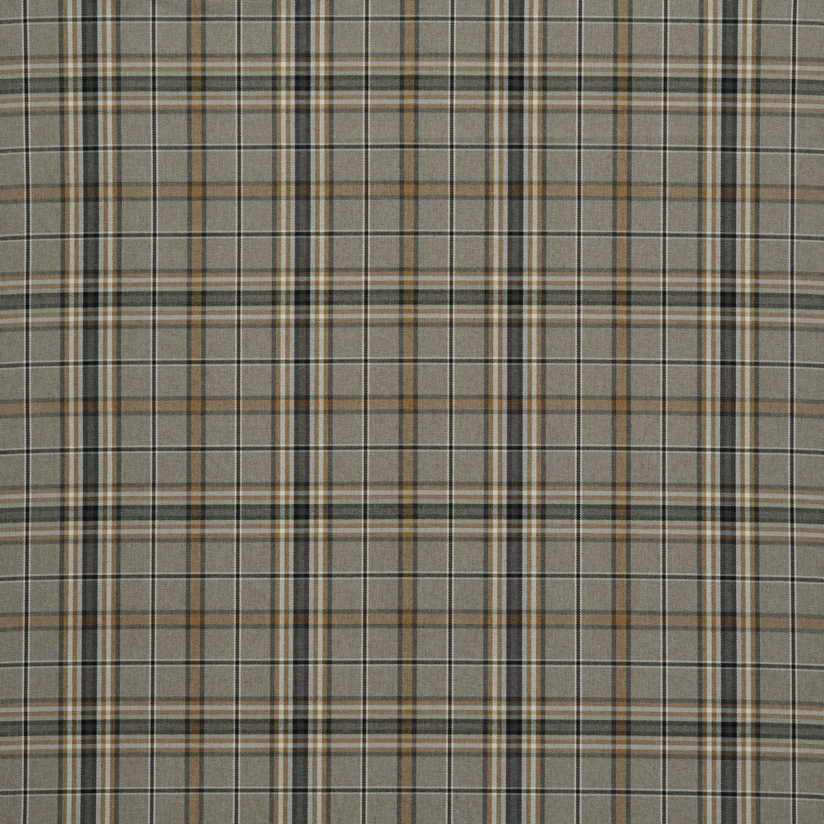 Heathcliff Butterscotch Fabric