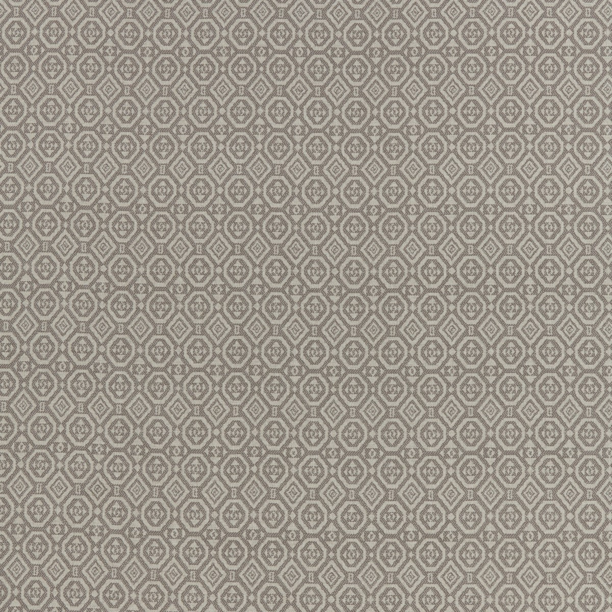 Saru Taupe Curtain