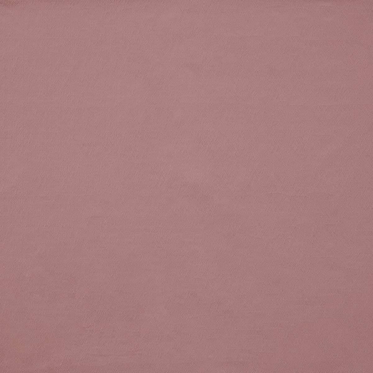 Ezra Rose Curtain