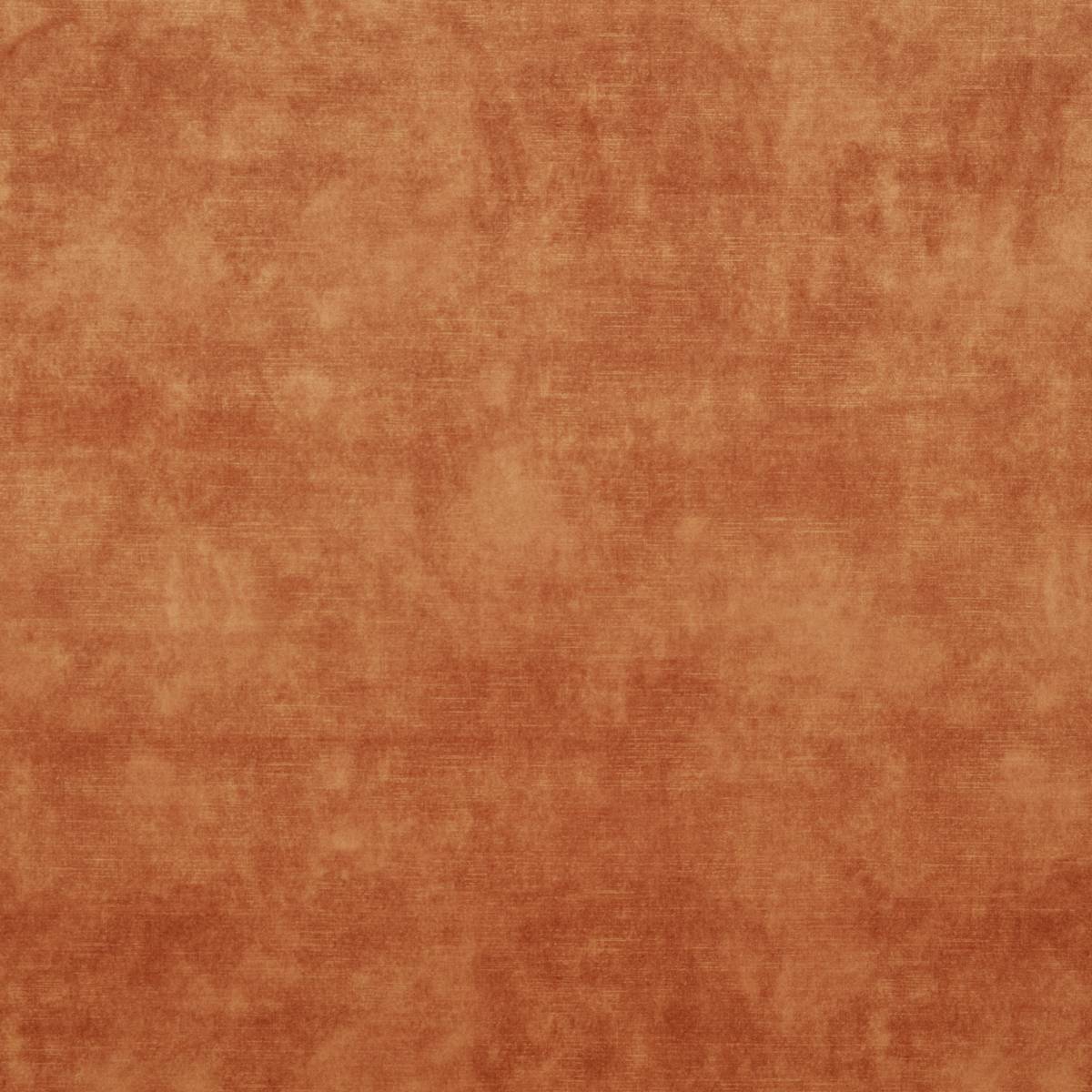 Larne Shell Curtain