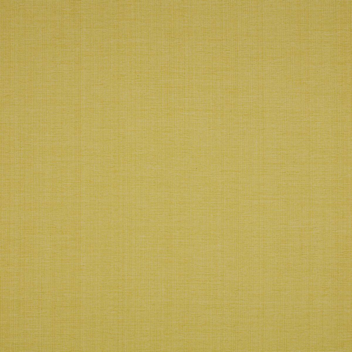 Stratford Lemongrass Curtain