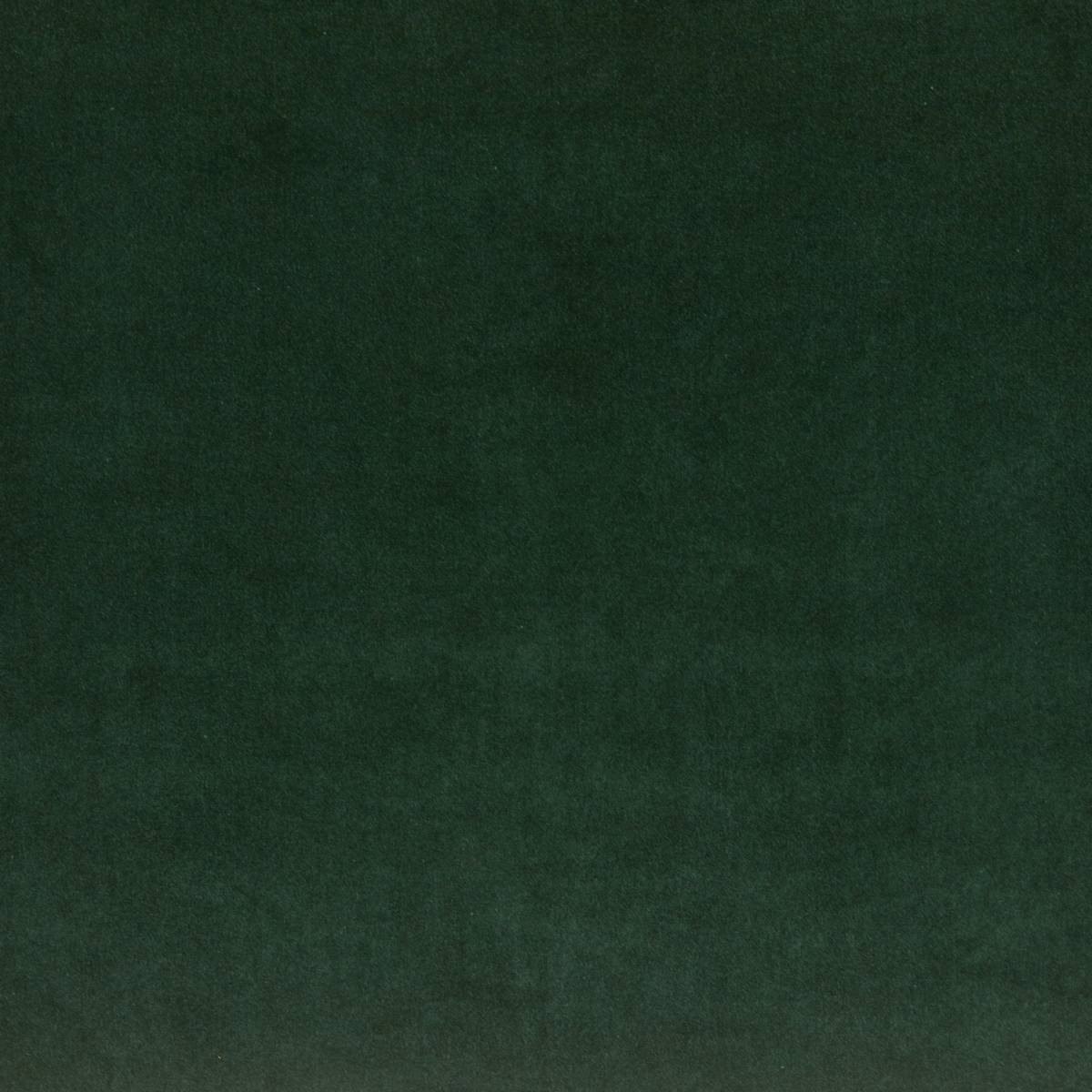 Denver Forest Curtain