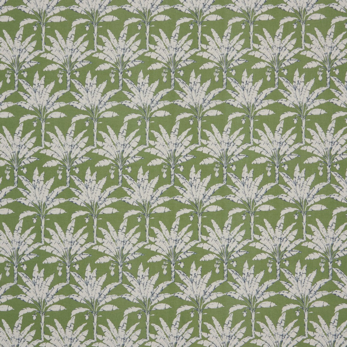 Palm House Spruce Curtain