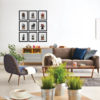 Funky Cats I 8047A
