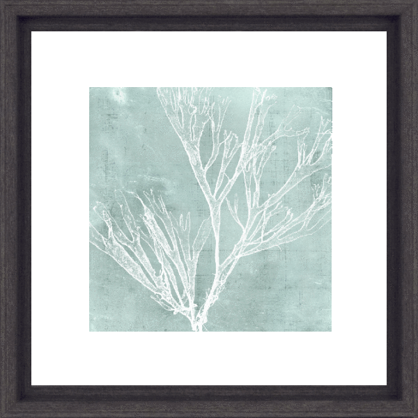 Seaweed On Aqua III 8572C