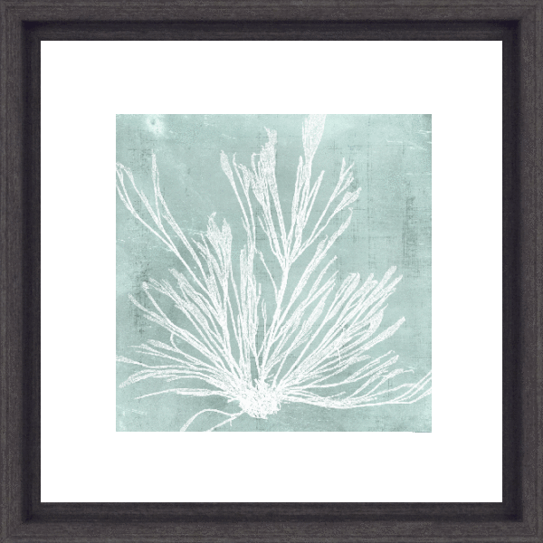 Seaweed On Aqua IV 8572D