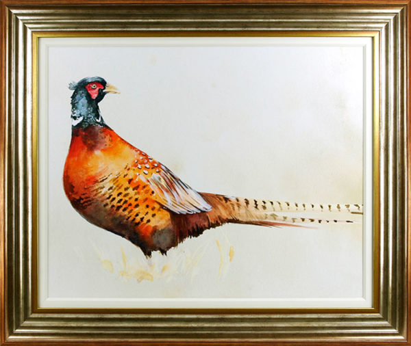 Pheasant 9004