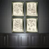 Sepia Botanials I 9410A