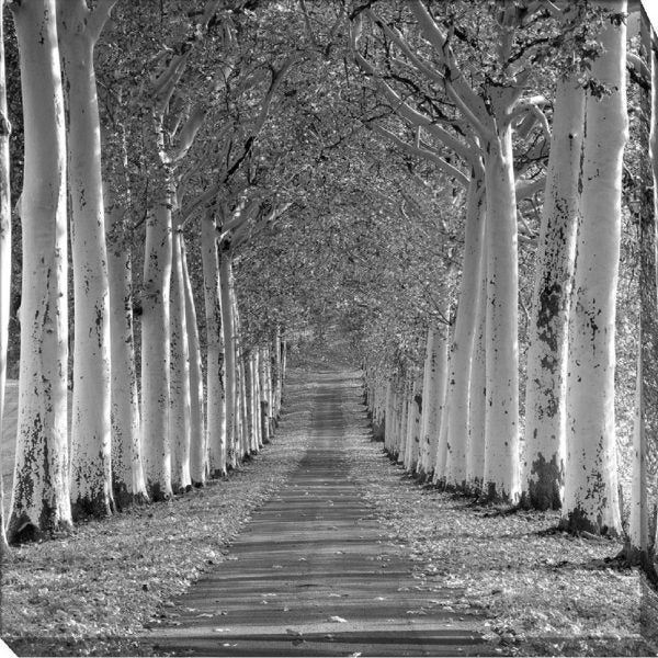 Epernay France CV6557