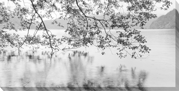 Lake Reflections CV8985