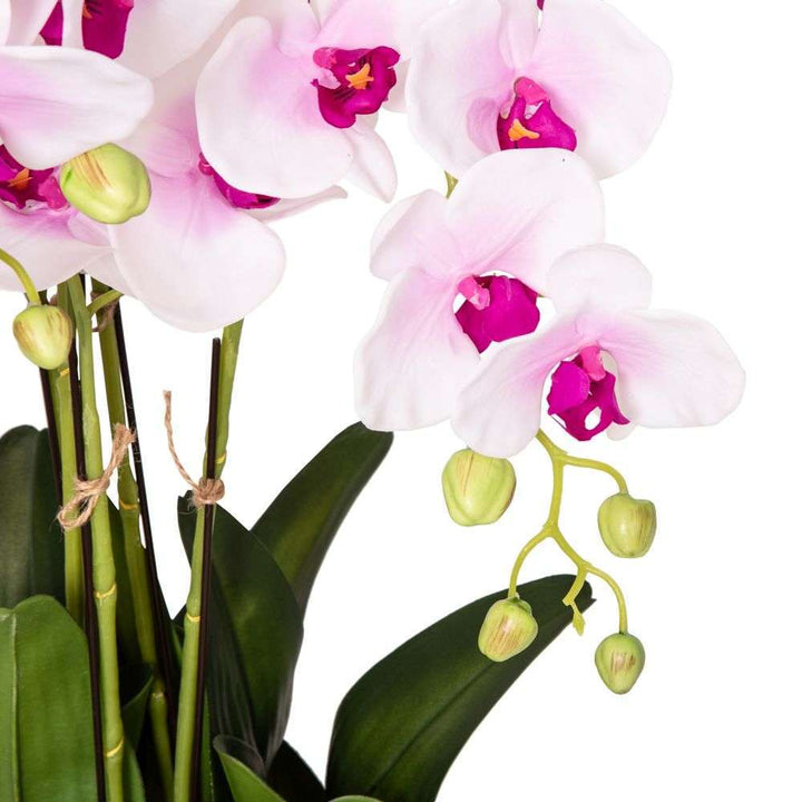 Mint Homeware - Soft Pink Orchid in Glass Pot - 5 Stems
