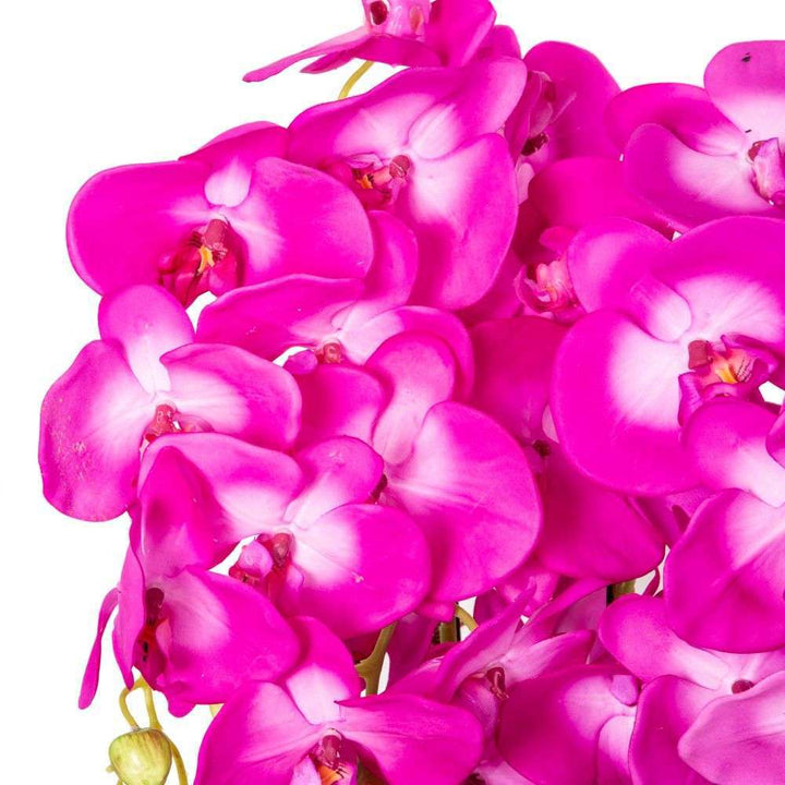 Mint Homeware - Brighter Pink Orchid in Glass Pot - 5 Stems