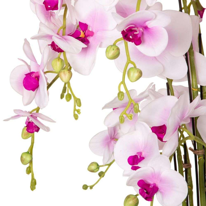 Mint Homeware - Soft Pink Orchid in White Ceramic Pot - 12 Stems
