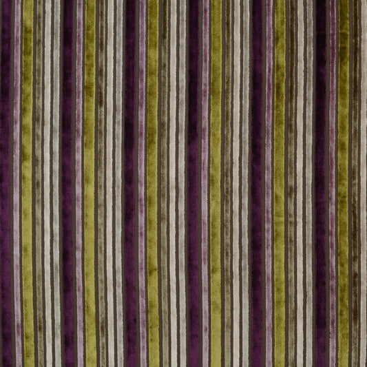 Versari Damson Curtain