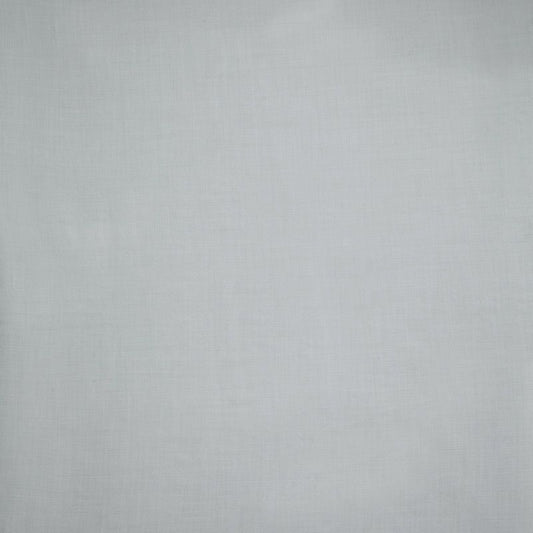 Serene Silver Curtain