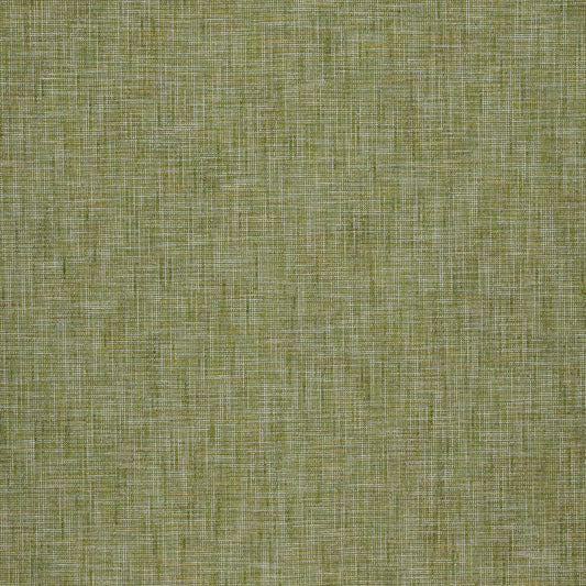 Saxon Moss Curtain