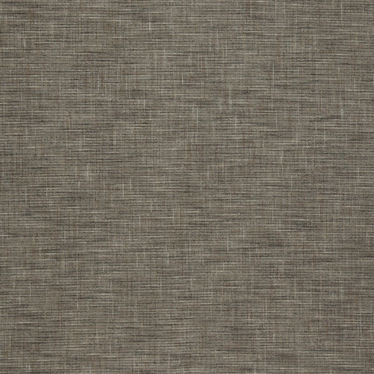 Saxon Taupe Curtain