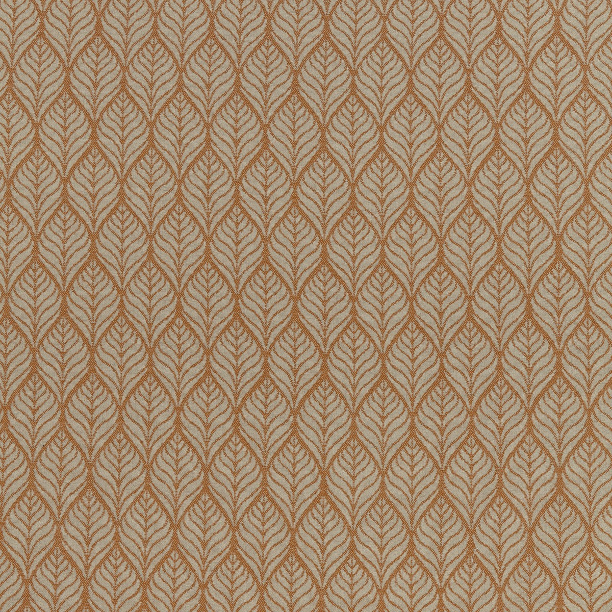 Vertex Henna Curtain