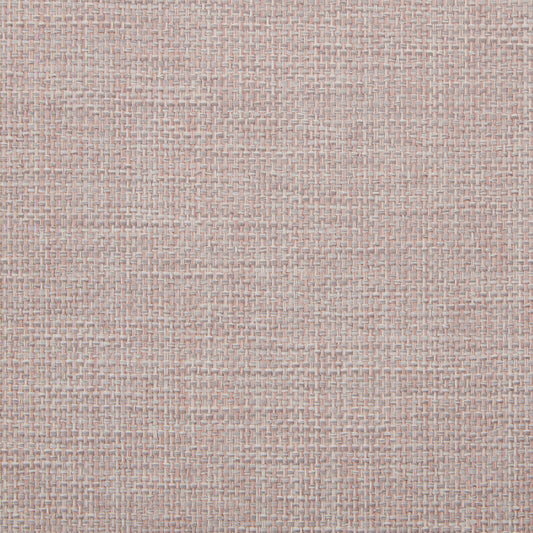 Compass Blush Fabric