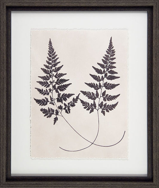 Vintage Fern Study I 8134A