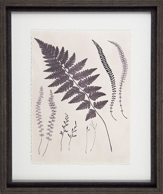 Vintage Fern Study II 8134B