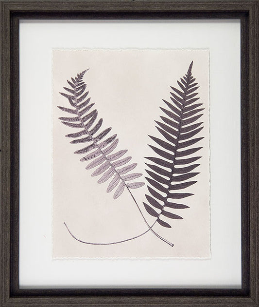 Vintage Fern Study III 8134C