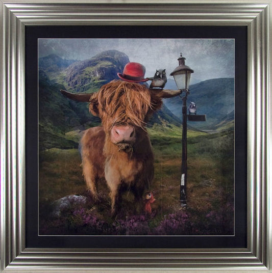 Highland Cow 8426