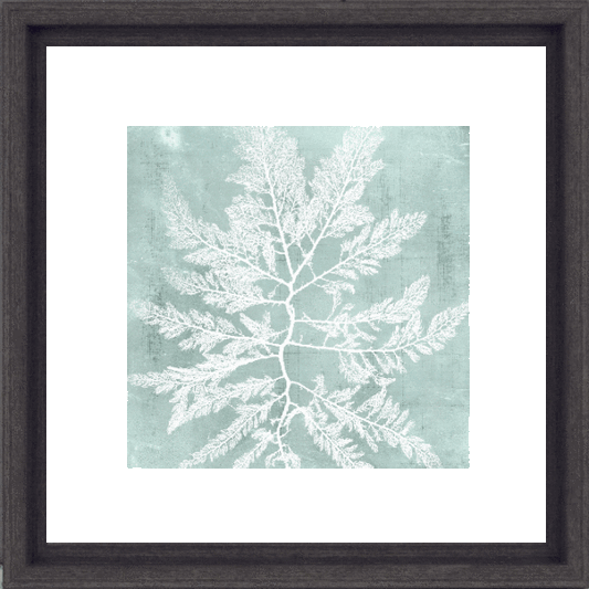 Seaweed On Aqua I 8572A