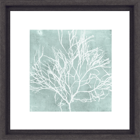 Seaweed On Aqua II 8572B