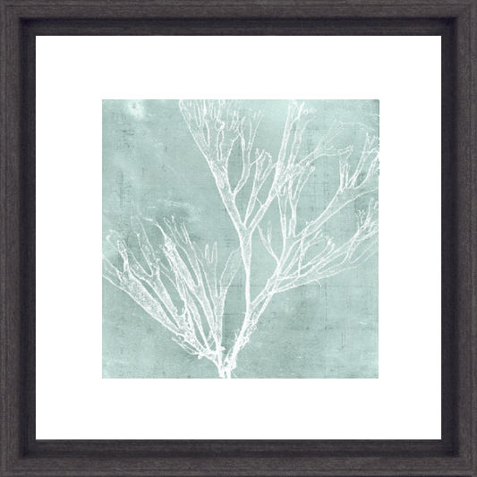 Seaweed On Aqua III 8572C