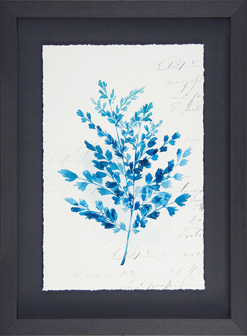 Botanical Blue III 8626C