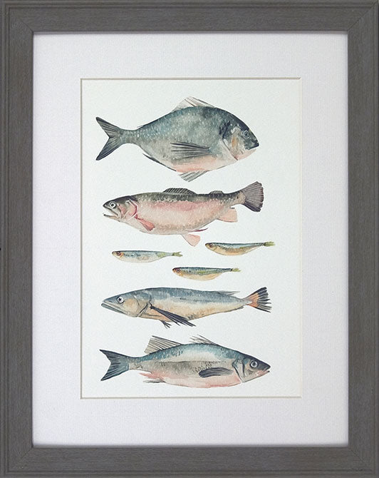 Fish Studies II 8692B