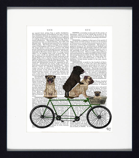 Dogs On Tandems VI 8942F