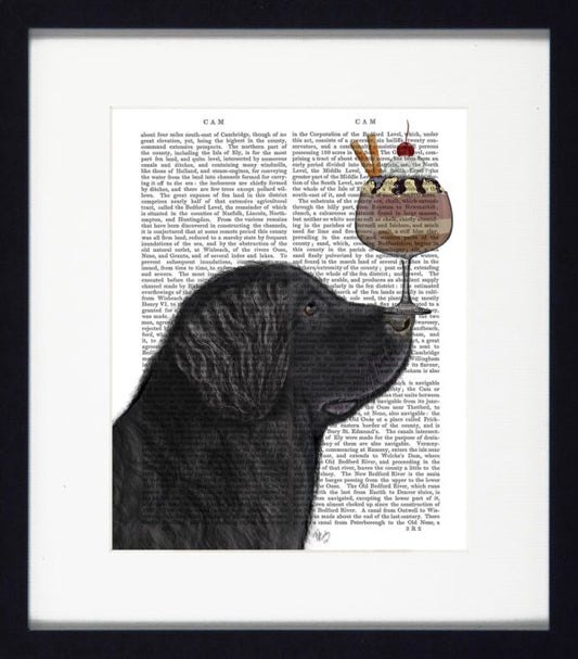 Ice Cream Dogs XII 9290L