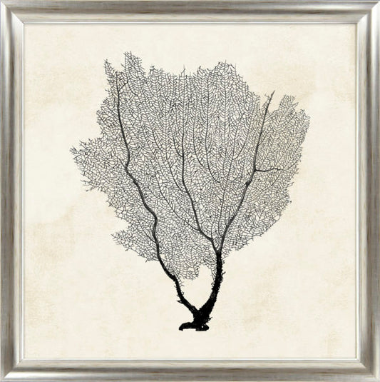 Sea Fan Sketches II 9308B