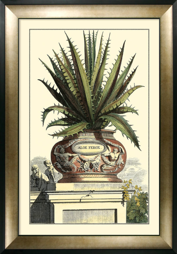 Antique Aloe I (Large) 9320A