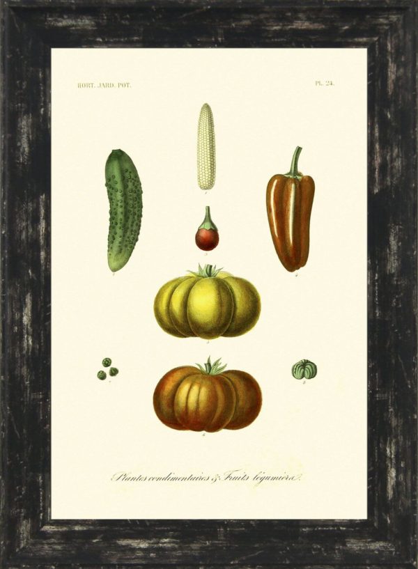 Antique Fruit & Vegetables I 9486A