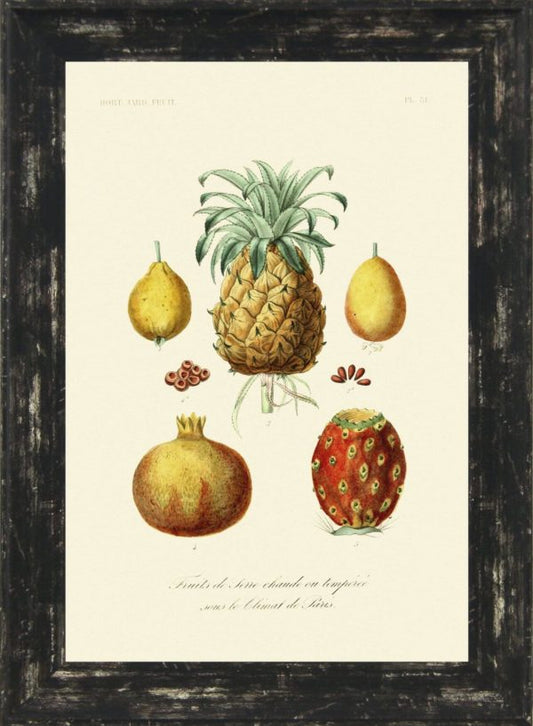 Antique Fruit & Vegetables III 9486C