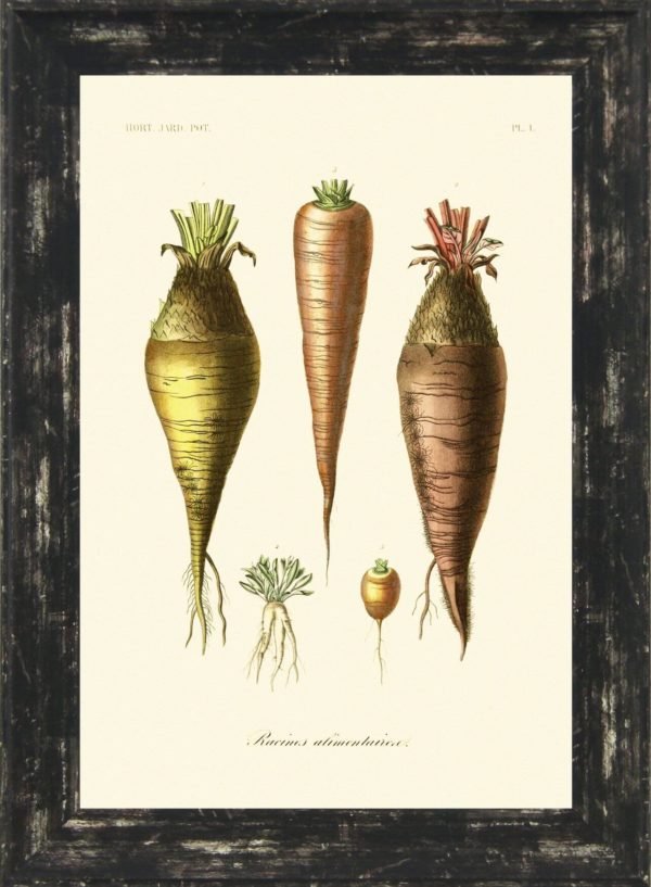 Antique Fruit & Vegetables IV 9486D