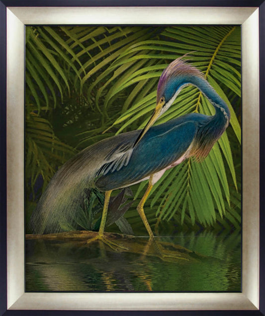 Jungled Pelican I 9562A