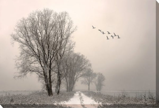 Winter Flight CV9109