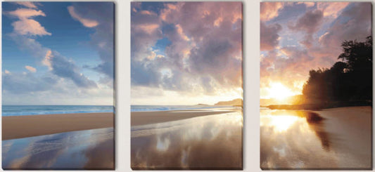Secret Beach Triptych CV9173