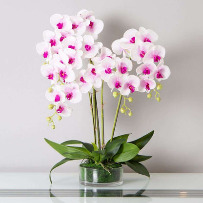 Mint Homeware - Soft Pink Orchid in Glass Pot - 5 Stems