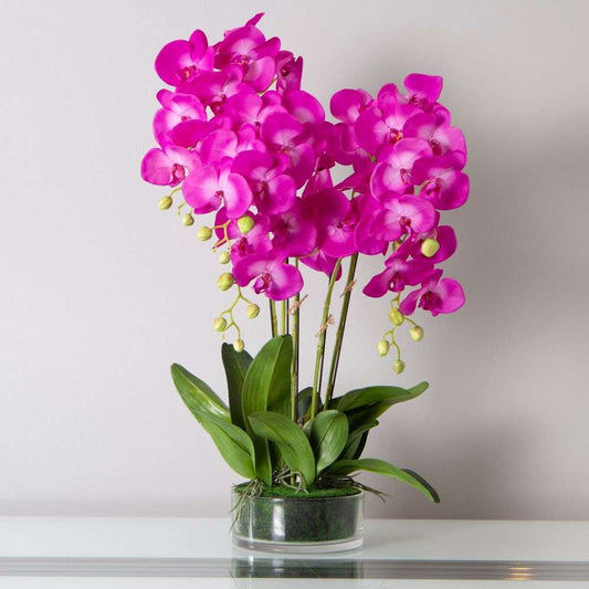 Mint Homeware - Brighter Pink Orchid in Glass Pot - 5 Stems