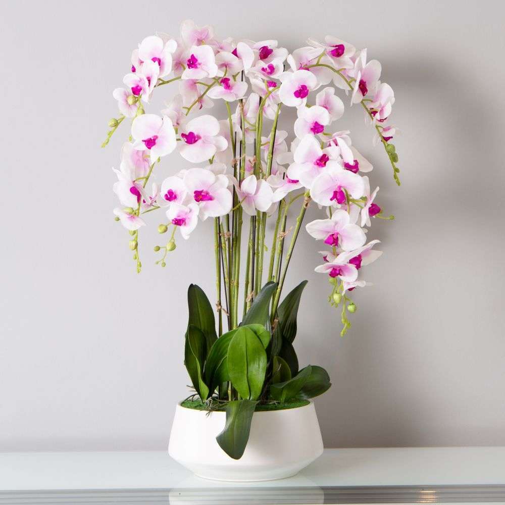 Mint Homeware - Soft Pink Orchid in White Ceramic Pot - 12 Stems