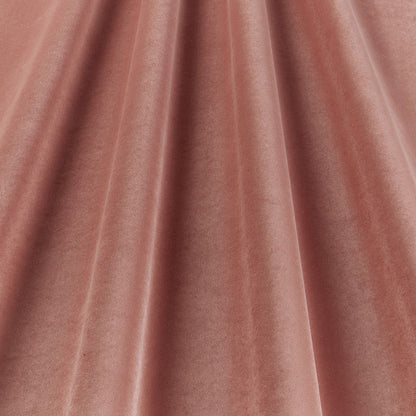 Adley Rose Curtain